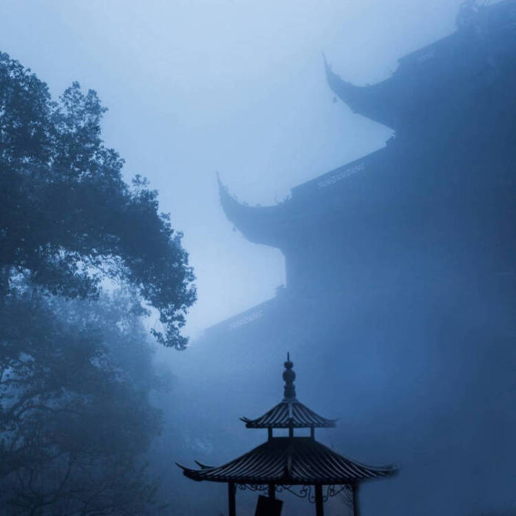 雪代缘（身份：雪代巴弟弟、上海黑帮老大、虎伏绝刀式使用者） - 音乐MV高清在线观看 - 平板看电影